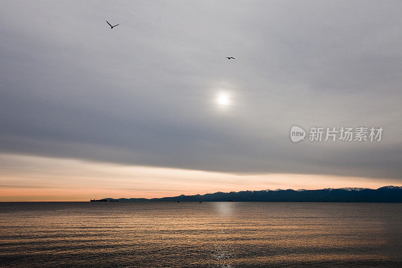 Morning at Esquimalt Lagoon